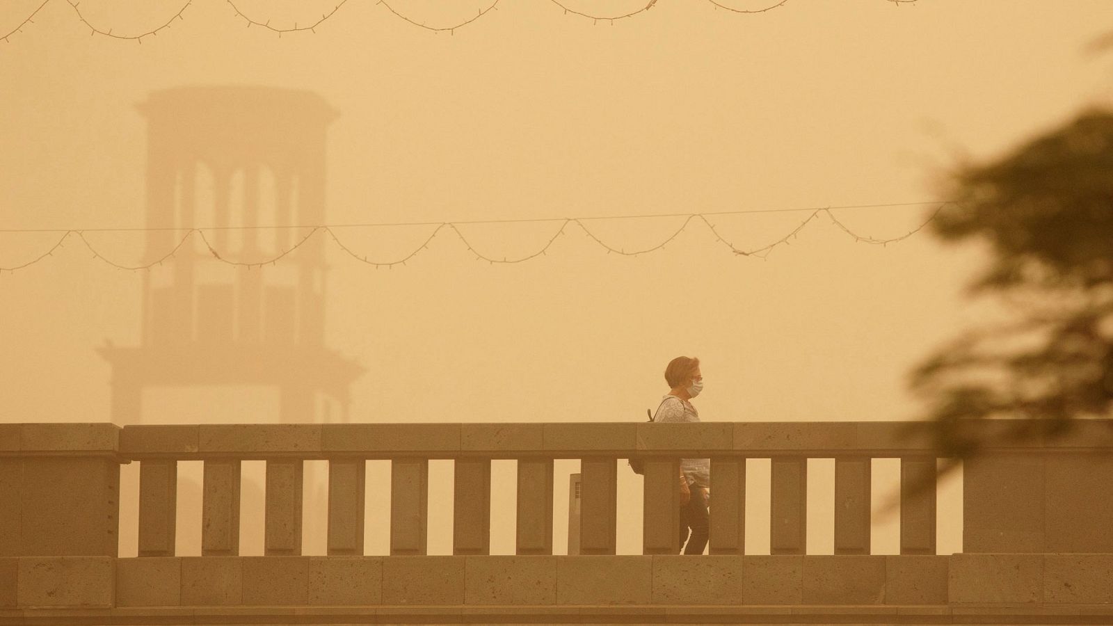 Medios aéreos esperan atajar el fuego de Gran Canaria en la reserva de Inagua