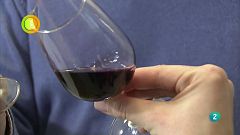 Laboratorio de ideas vino ultrasonido