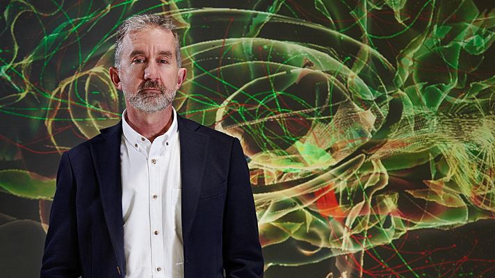 Documenta2 - La mente curiosa: ¿Qué es el cerebro?