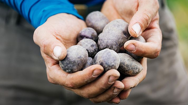 Comando Actualidad - Comando Actualidad - La patata caliente