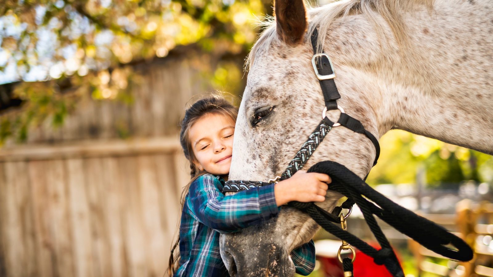 Terapia con caballos - España Directo | Ver