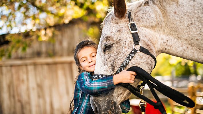 España Directo - Terapia con caballos