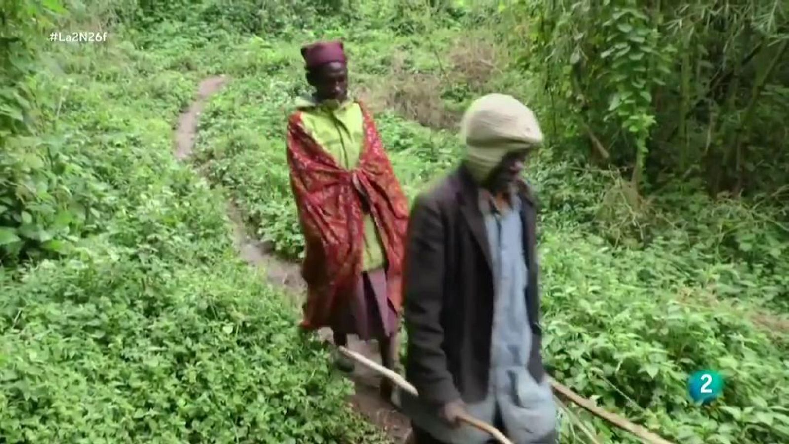 La tribu pigmea de Batwa propone conservar y replantar las semillas
