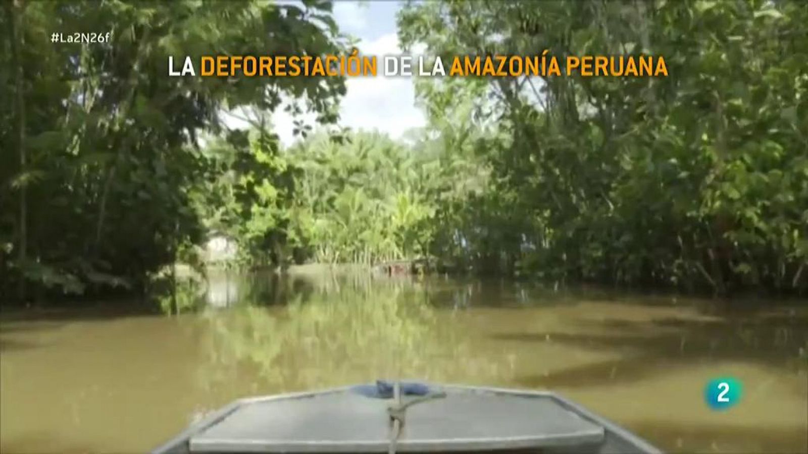 La 2 Noticias: La deforestación de la Amazonía avanza a pasos agigantados | RTVE Play