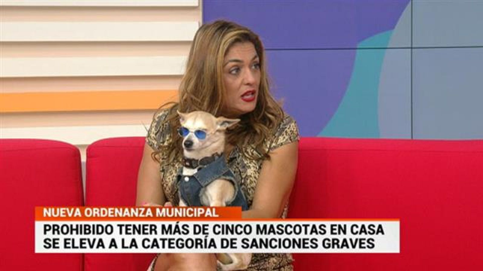 Cerca de ti - 27/02/2020