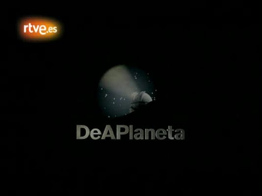 Tráiler de 'Un trabajo embarazoso'