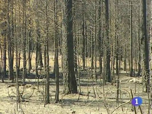 Noticias de Castilla-La Mancha - Noticias de Castilla-La Mancha - 28/07/09