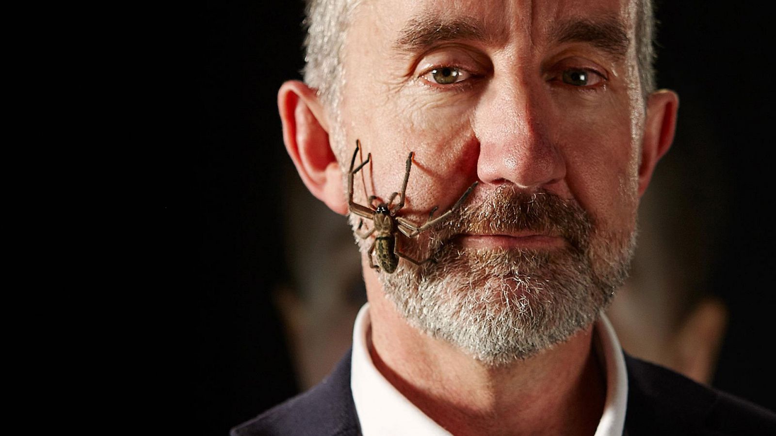 Documenta2 - La mente curiosa: El cerebro imperfecto - ver ahora