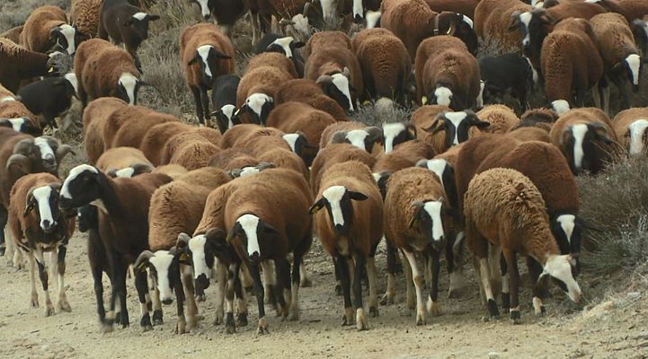 Aquí la Tierra - Aquí la Tierra - 27/02/20