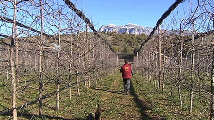 España en comunidad - España en Comunidad - 22/02/20 - Lengua de signos