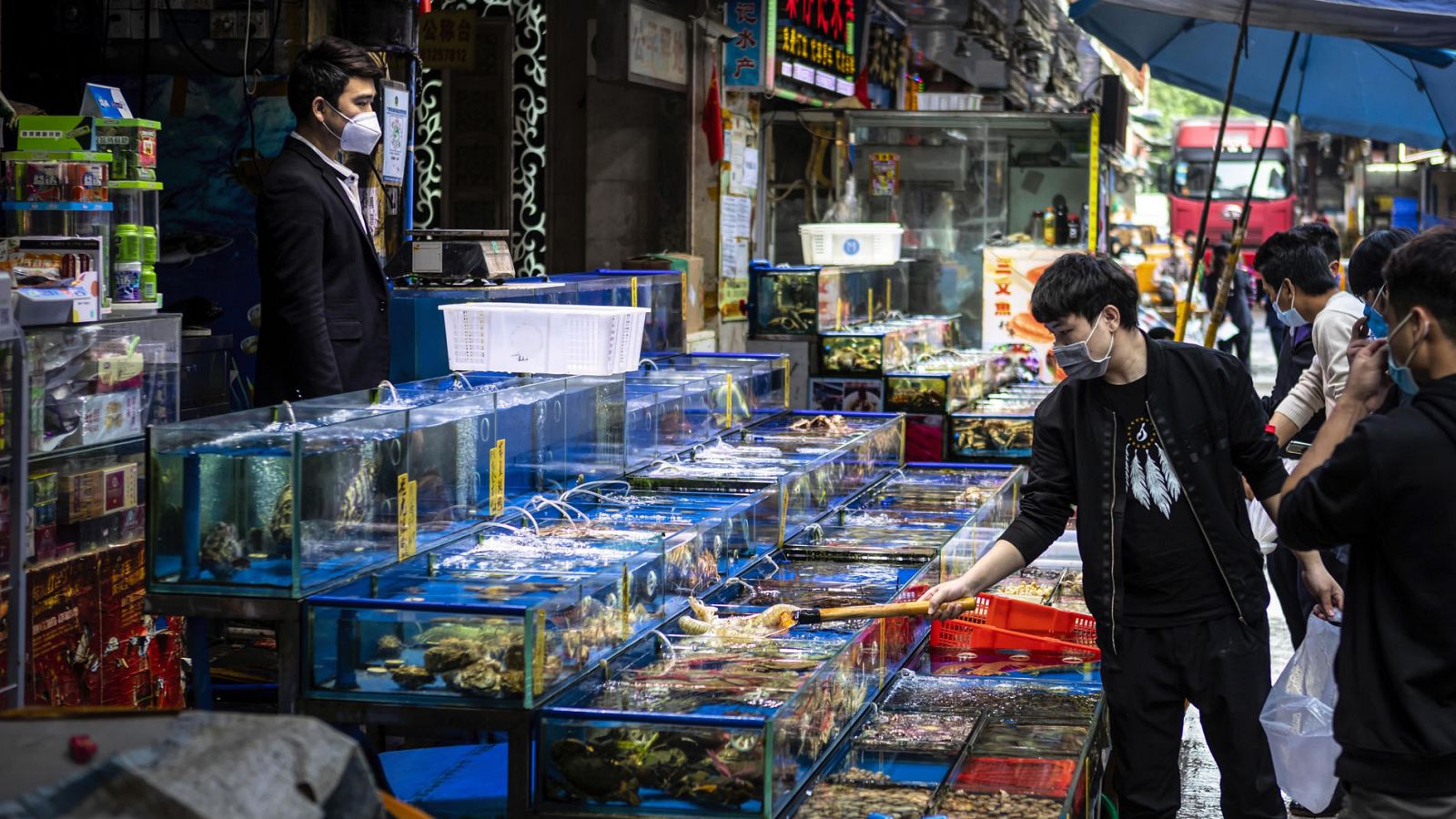 China castigará el tráfico de animales ilegales por la crisis del coronavirus