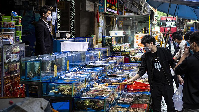 China castigará el tráfico de animales ilegales por la crisis del coronavirus