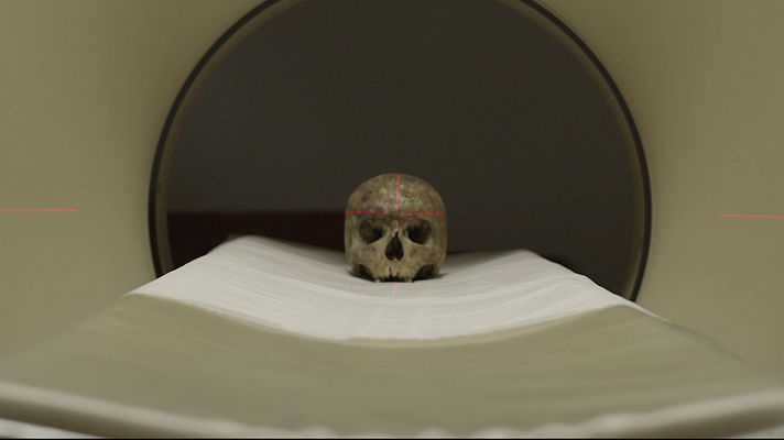 Guardianes del Patrimonio - Operación Papa Luna