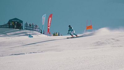 T8 - Era nocturna 2020