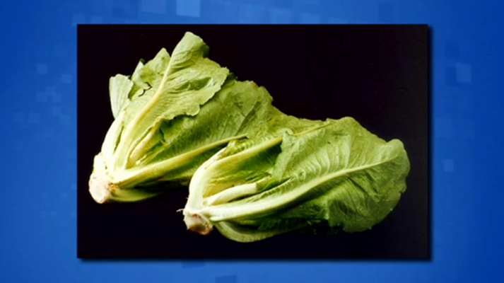 Saber y ganar - Saber y ganar. Edición fin de semana - 01/03/20