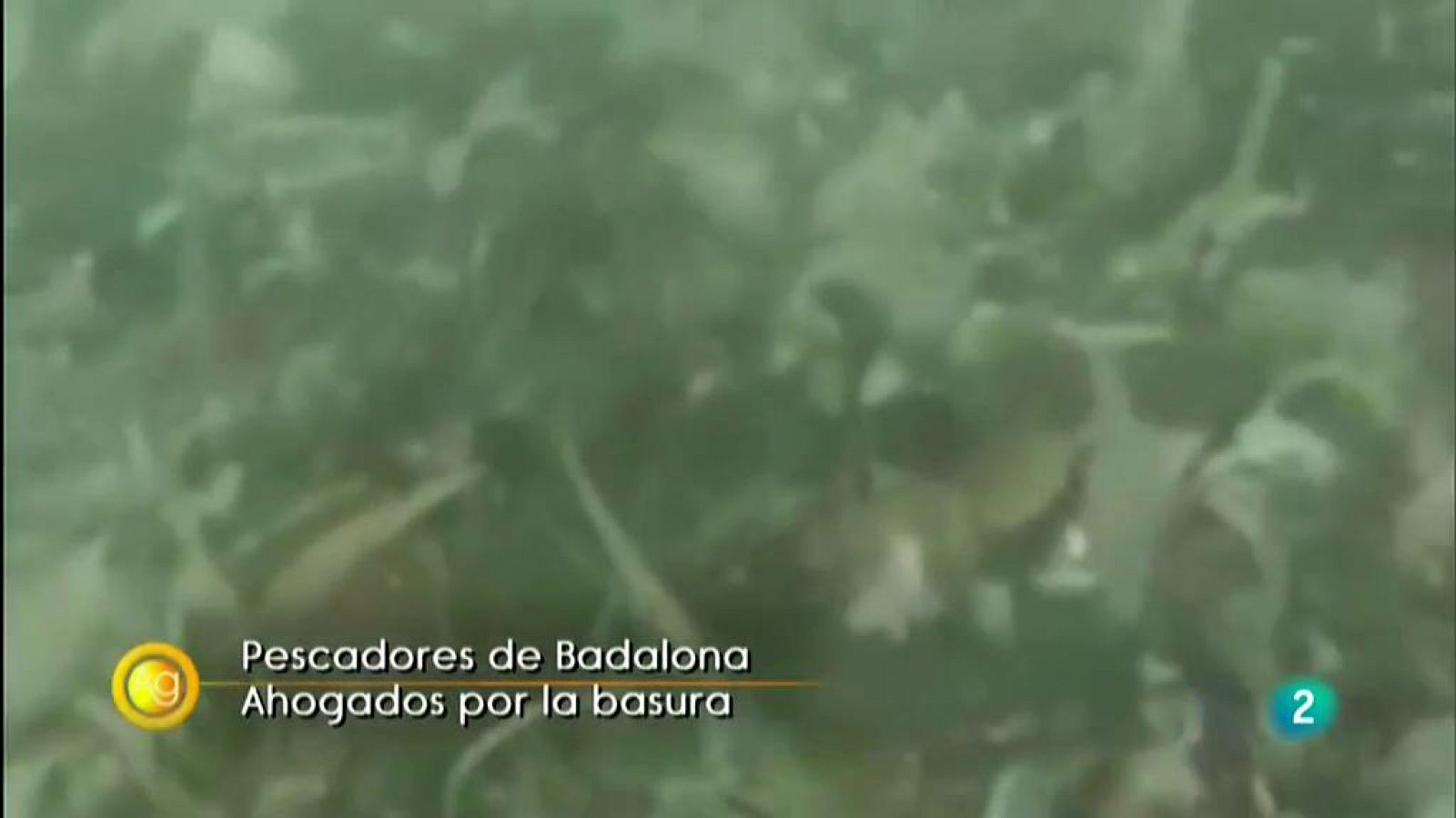 Agrosfera: PESCADORES BADALONA | RTVE Play