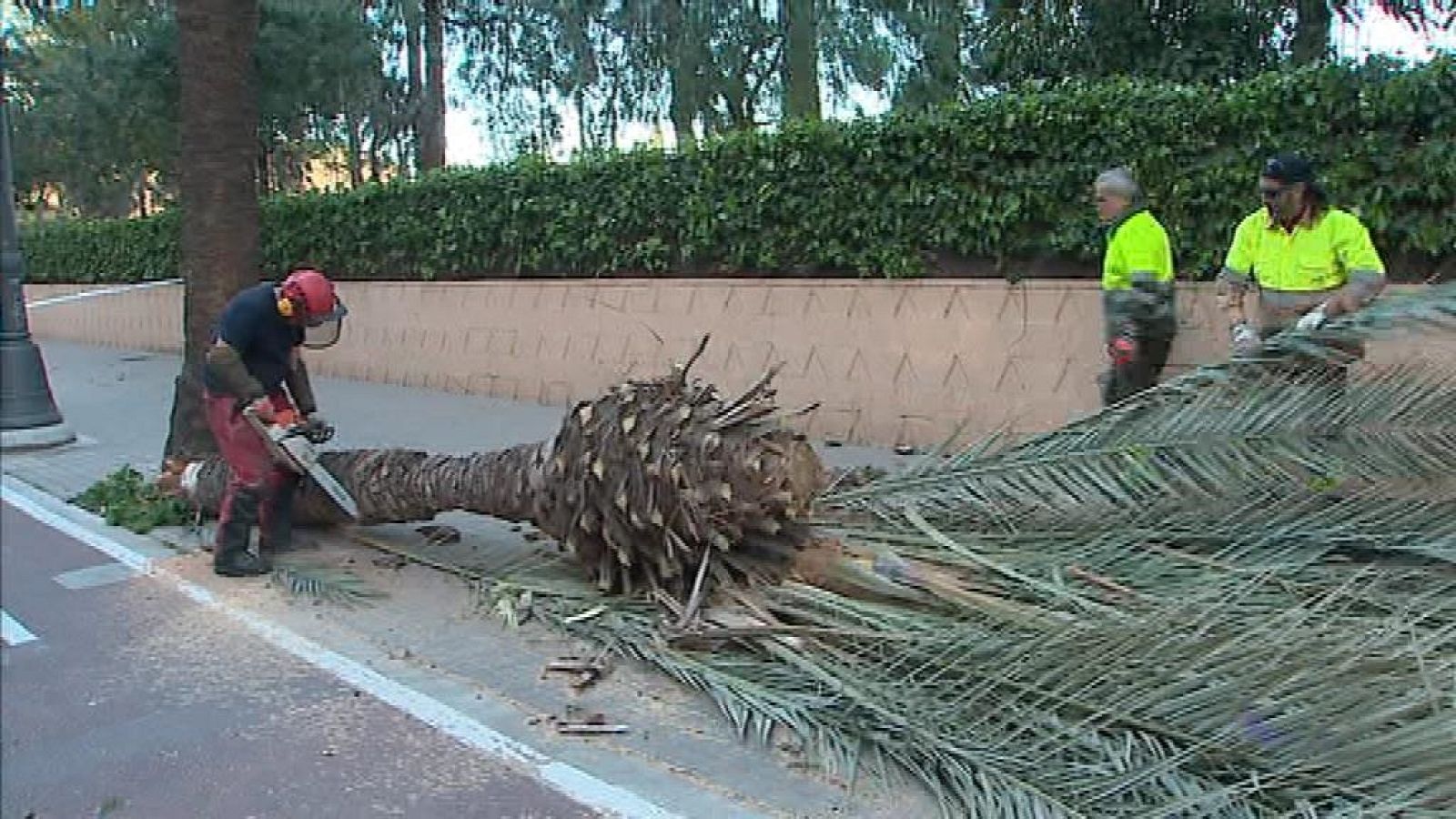 La Comunidad Valenciana en 2' - 02/03/20 - ver ahora