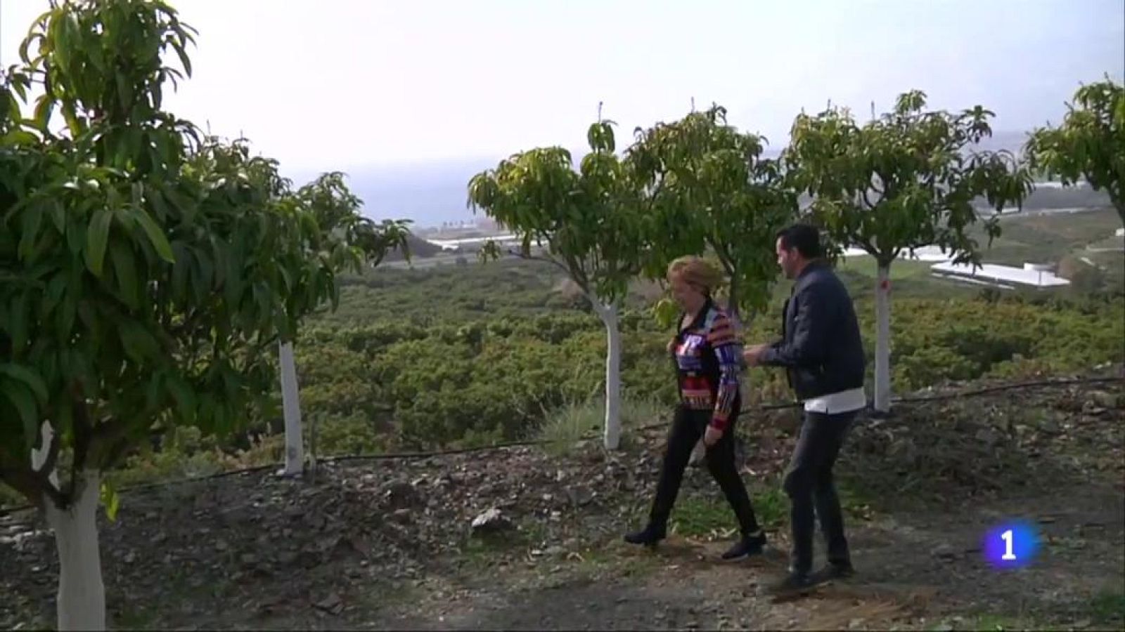 Celia Villalobos en Aquí la Tierra