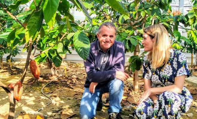 Aquí la Tierra - La primera plantación de cacao de Europa está en España