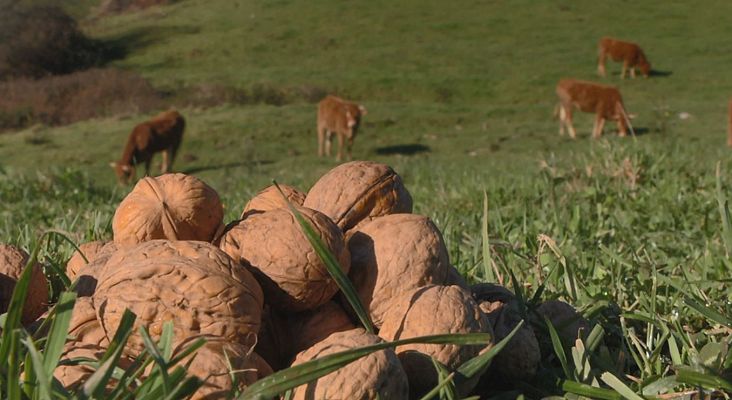 Aquí la Tierra - Aquí la Tierra - 03/03/20