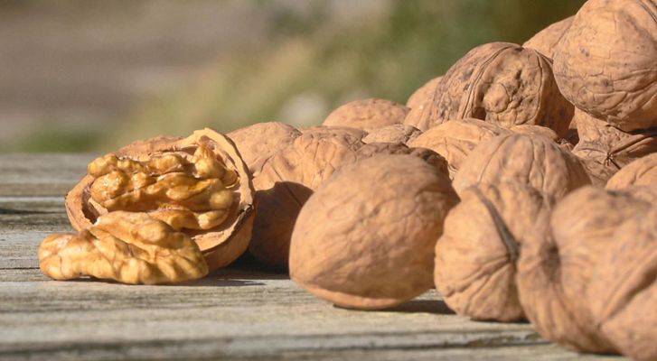 Aquí la Tierra - Tienes que probar el aceite de nuez