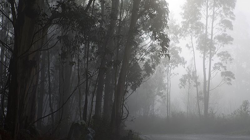 Precipitaciones localmente persistentes en el oeste de Galicia - ver ahora 