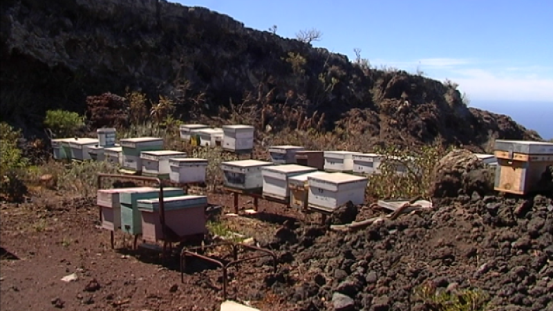 Telecanarias 2 - 05/03/2020