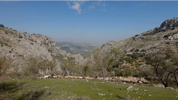 Saber vivir - Zuheros, Córdoba