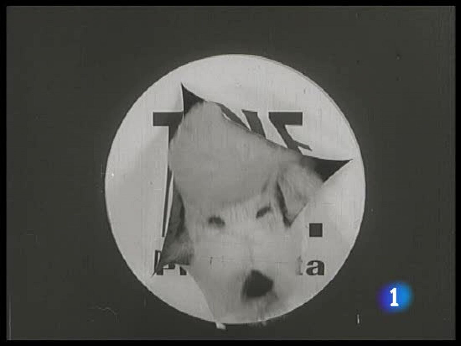 El archivo de TVE sale a la calle en una exposición itinerante