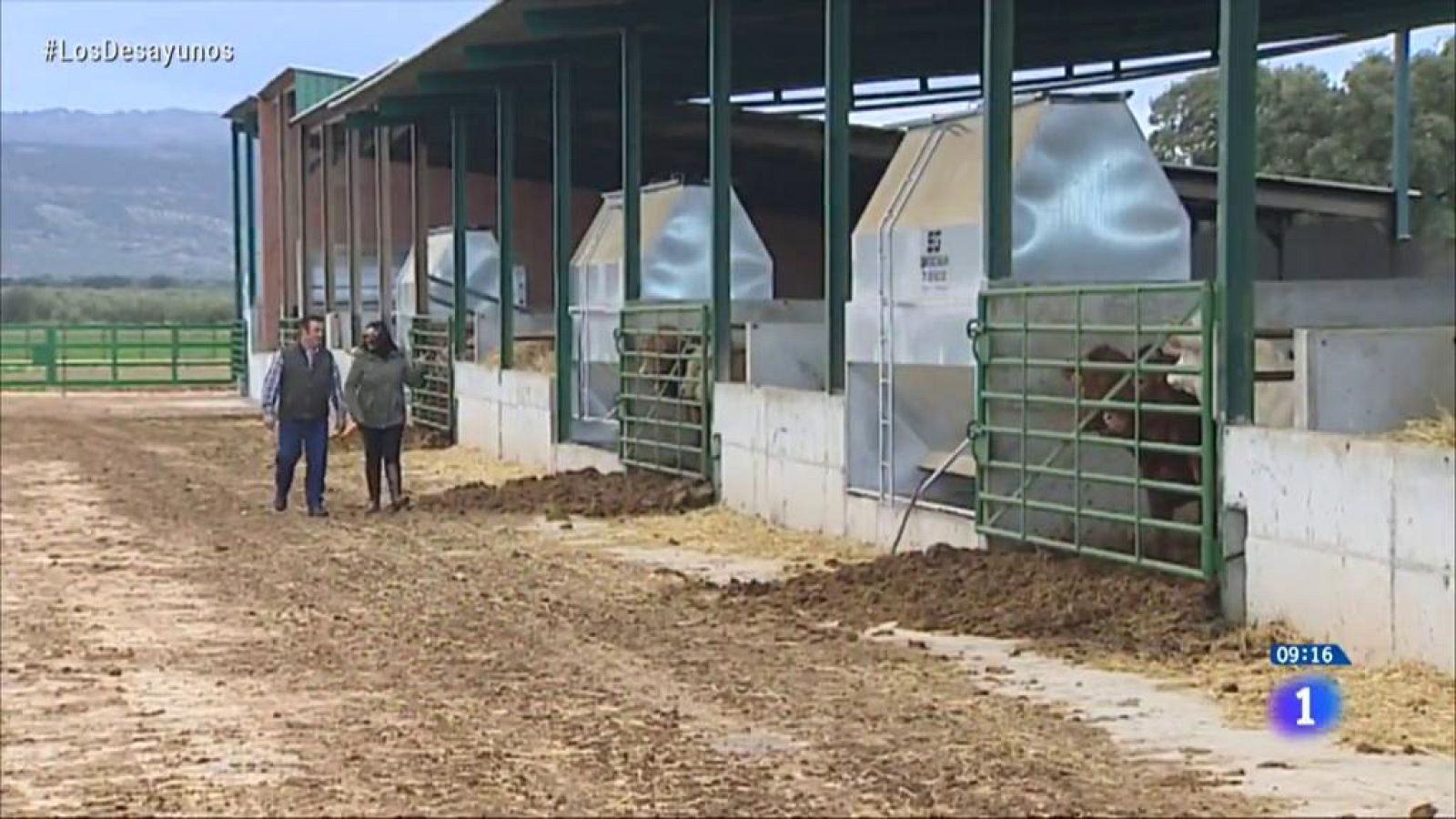 Mujeres rurales, mucho por hacer - RTVE Igualdad | Ver