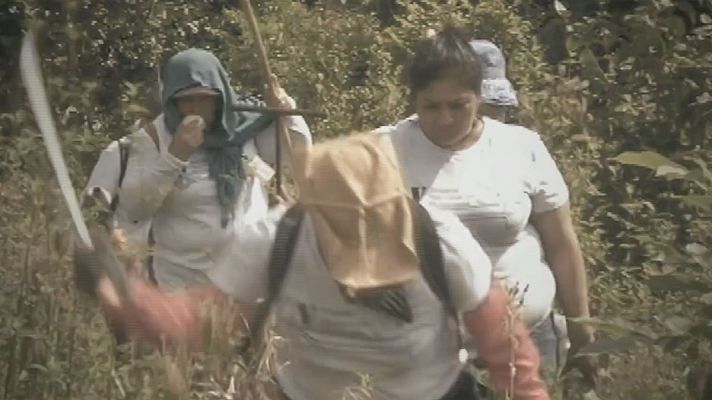 Las "sabuesas" buscadoras de "tesoros" en México