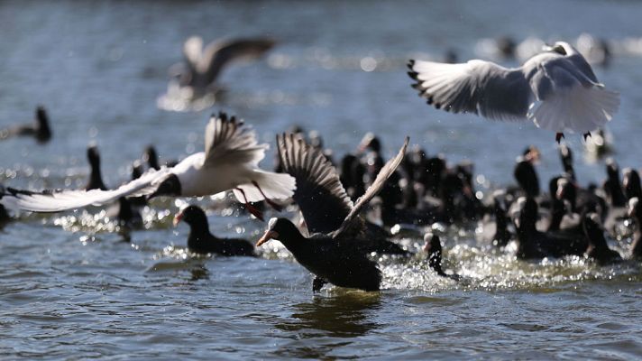 El tiempo - Temperaturas diurnas en ascenso y fuerte viento en noreste y Baleares