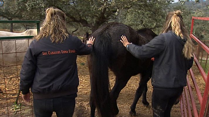 Agrosfera - Agrosfera - 07/03/20