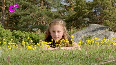 Carla en el bosque encantado - Club Clan | Ver