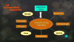 La aventura del saber. ¿Cuál es la finalidad de un servicio de toxicología forense?