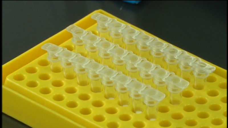  Telecanarias 2 - 09/03/2020