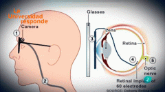 La aventura del saber. ¿Puede la cámara de fotos sustituir al ojo humano?