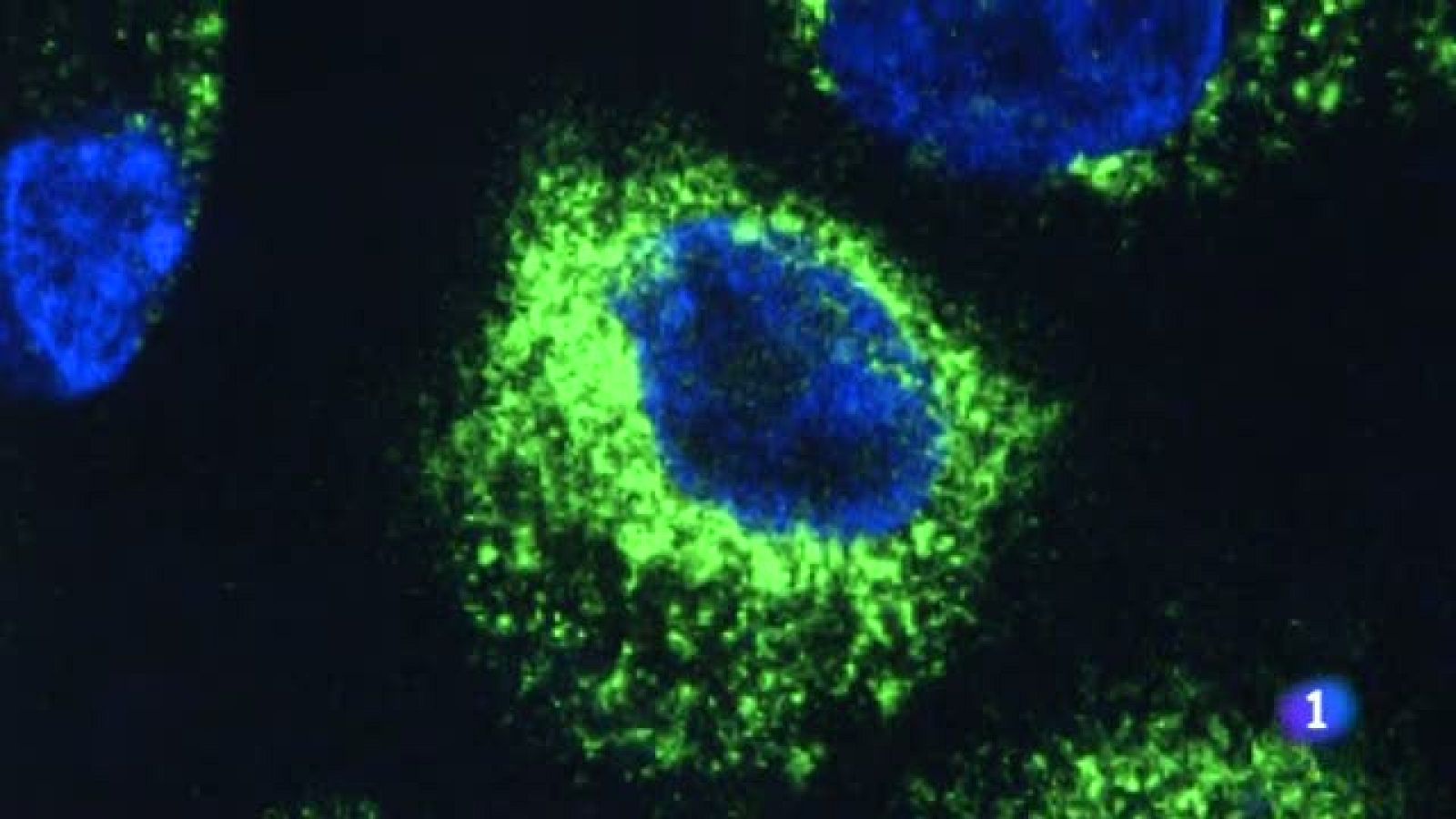 Aragón en 2'- 11/03/2020 | Ver