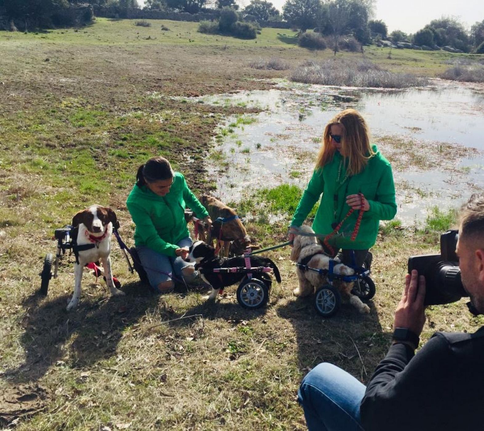 Bichos Raros acoge a animales con alguna discapacidad