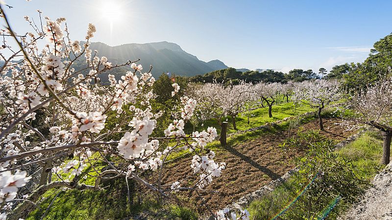 Temperaturas superiores a las normales en buena parte del país - Ver ahora