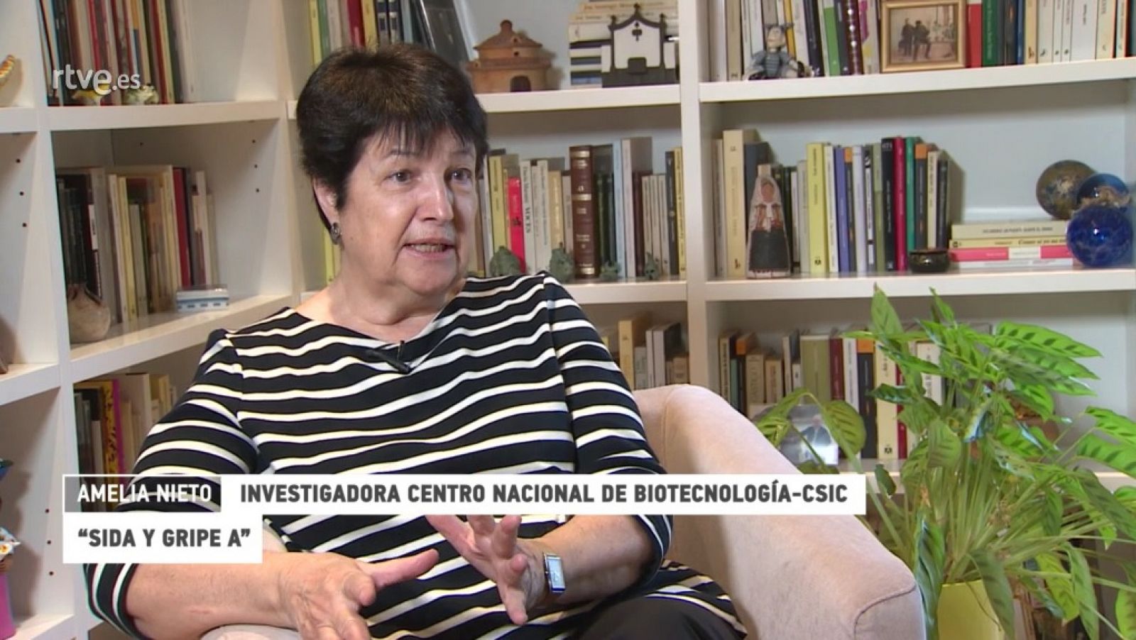 ¿Te acuerdas? | Amelia Nieto - RTVE.es