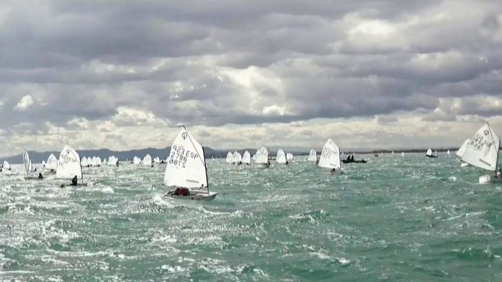 Vela - Optiorange - ver ahora