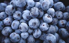 Aquí la Tierra - ¿Cómo ayuda la alimentación a los sistemas del cuerpo humano?