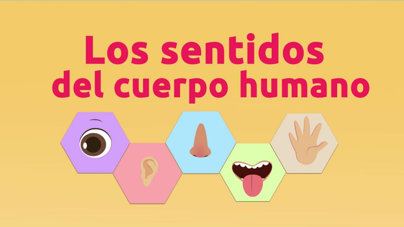 CIENCIAS NATURALES - Los 5 sentidos - EduClan 3 a 5 años | Ver