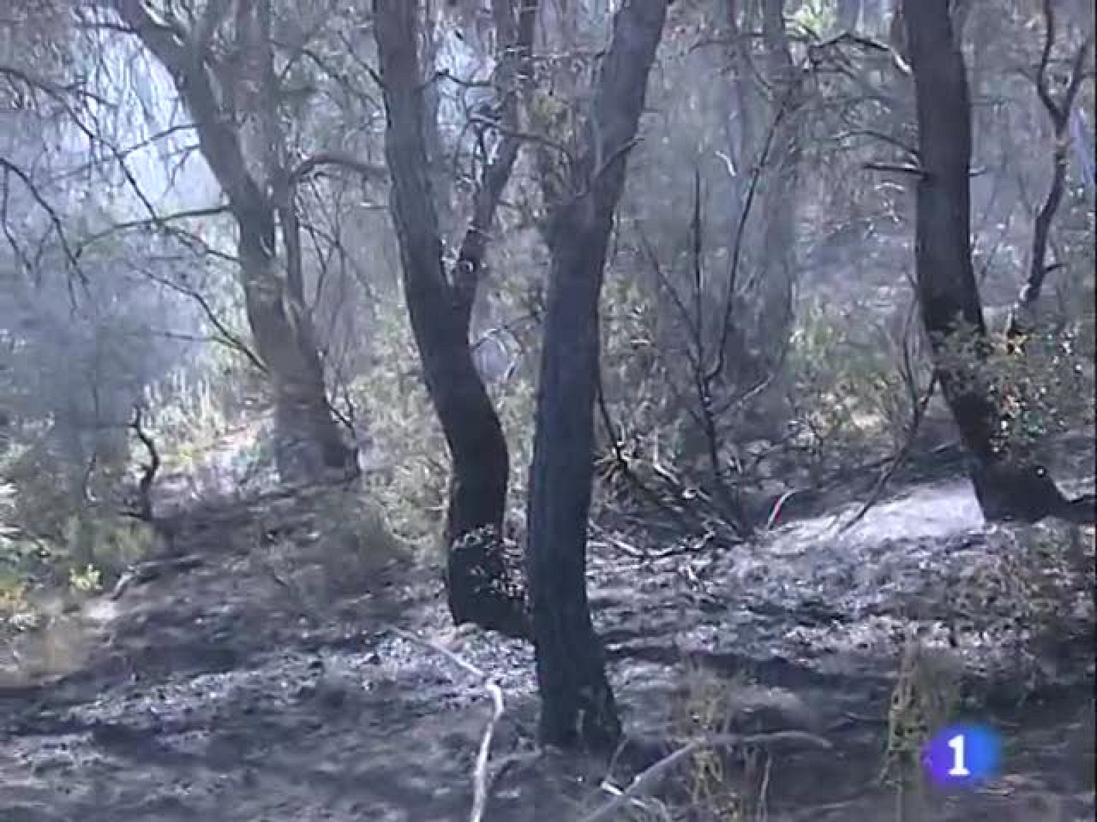 Noticias Aragón. Informativo de Aragón. (30/07/09)