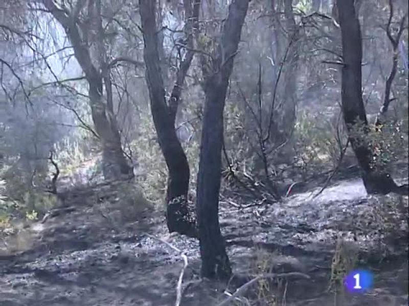  Noticias Aragón. Informativo de Aragón. (30/07/09)