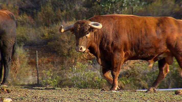 Tendido cero - Tendido cero - 14/03/20