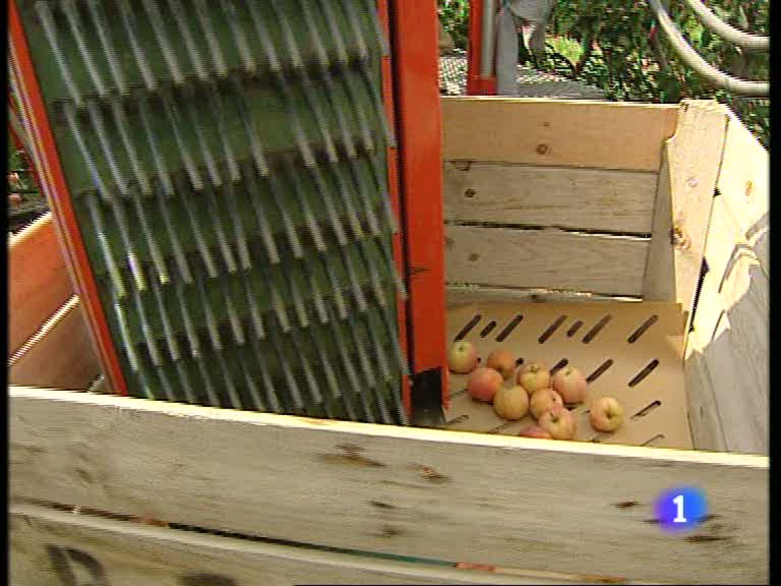 Informativo  Telerioja (30/07/09)