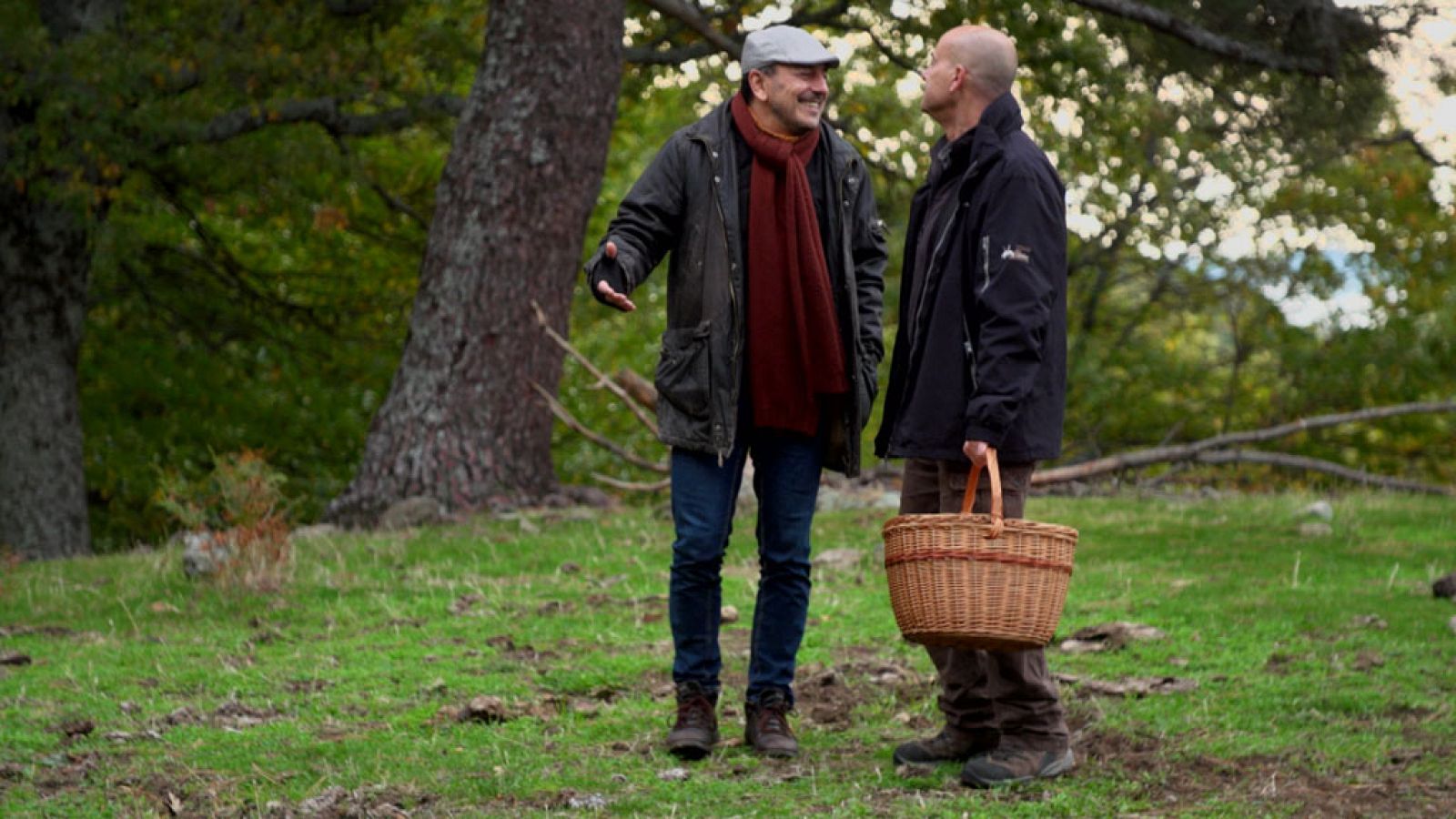 El señor de los bosques - Piedralaves (Ávila) - ver ahora