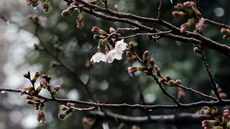 La DANA pone en alerta a once comunidades por lluvia, tormentas, nieve y olas